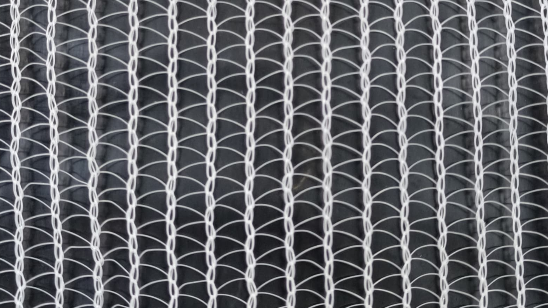 Water Harvesting Net