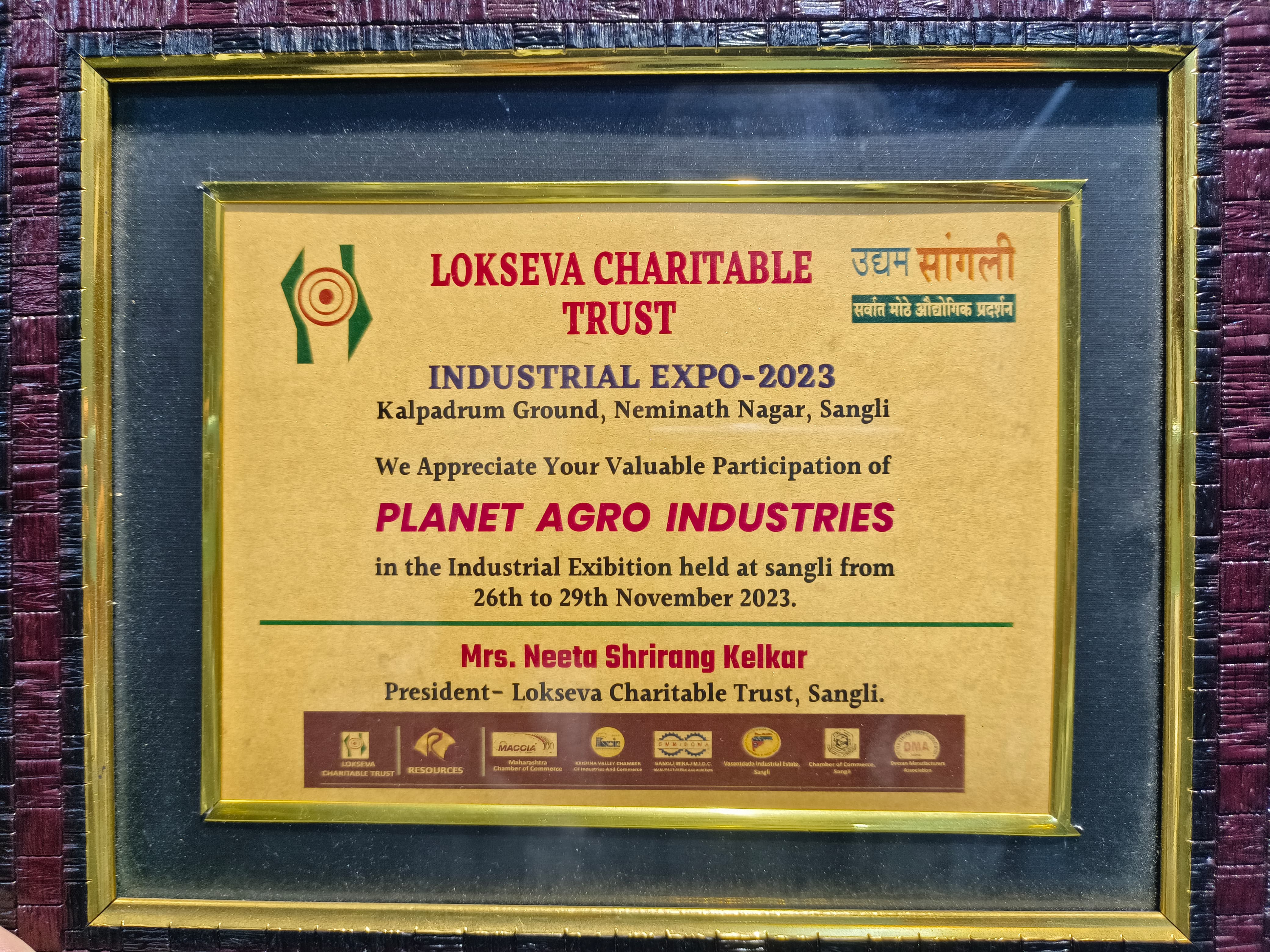 Industrial Expo Certificate