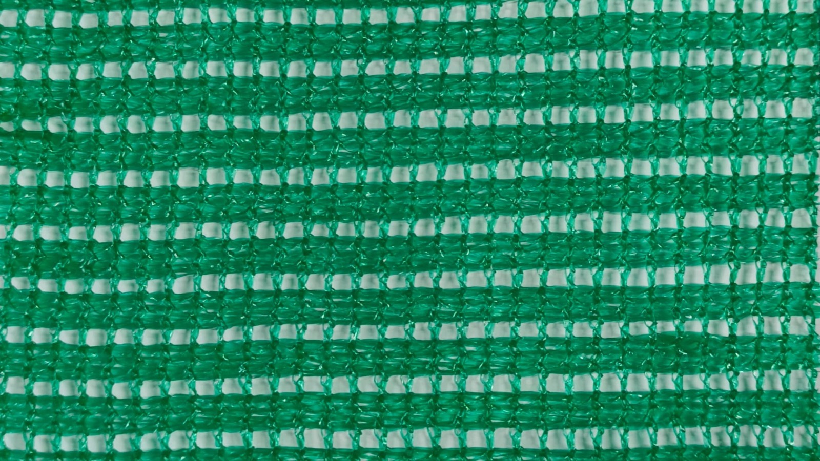 Wind Screen