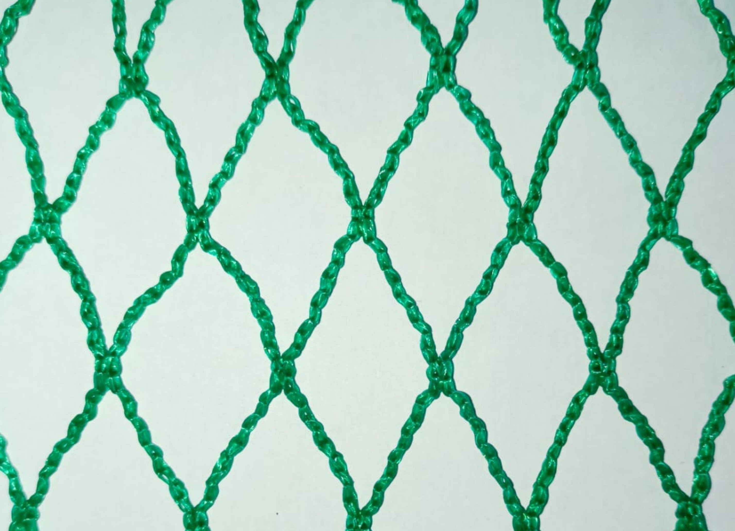 Safety Net Preview