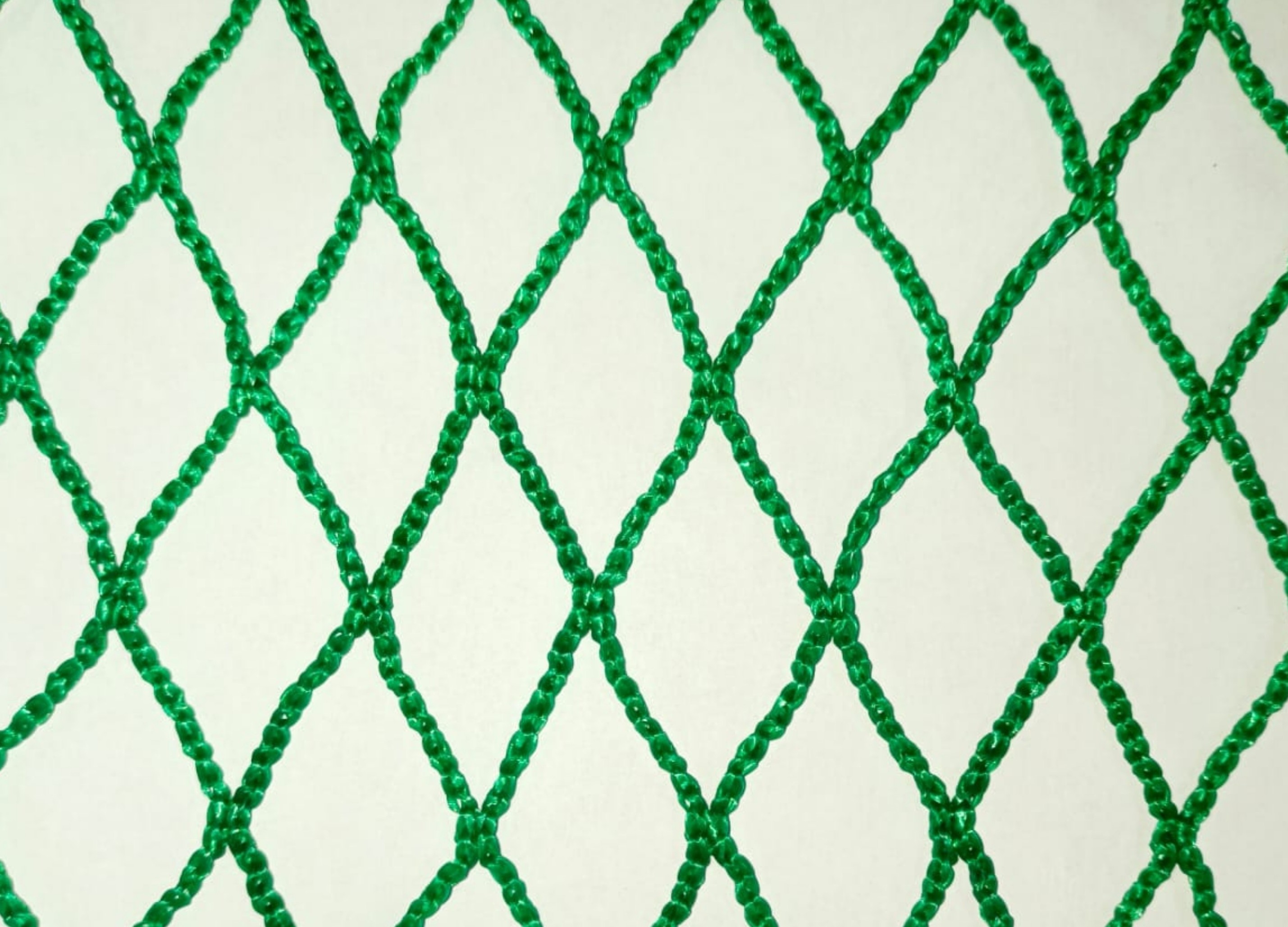 Safety Net Preview
