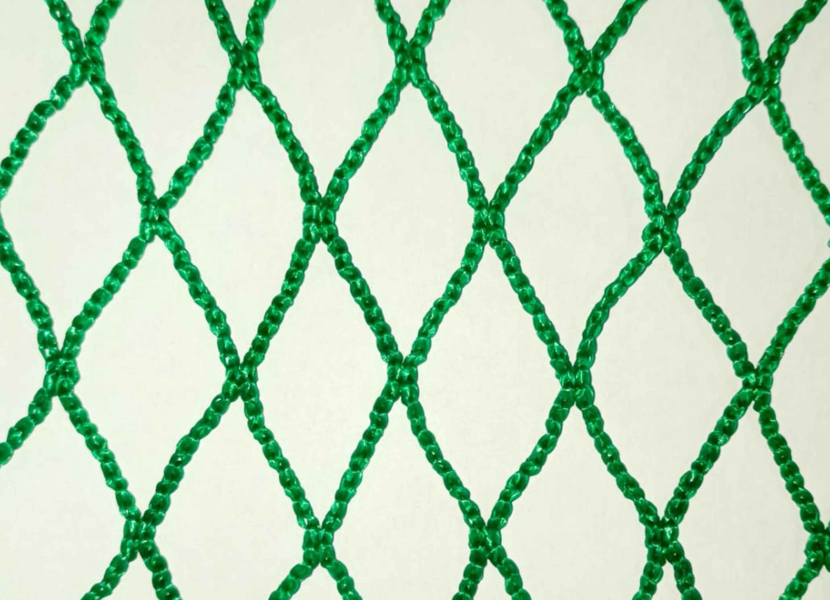 Safety Net Preview