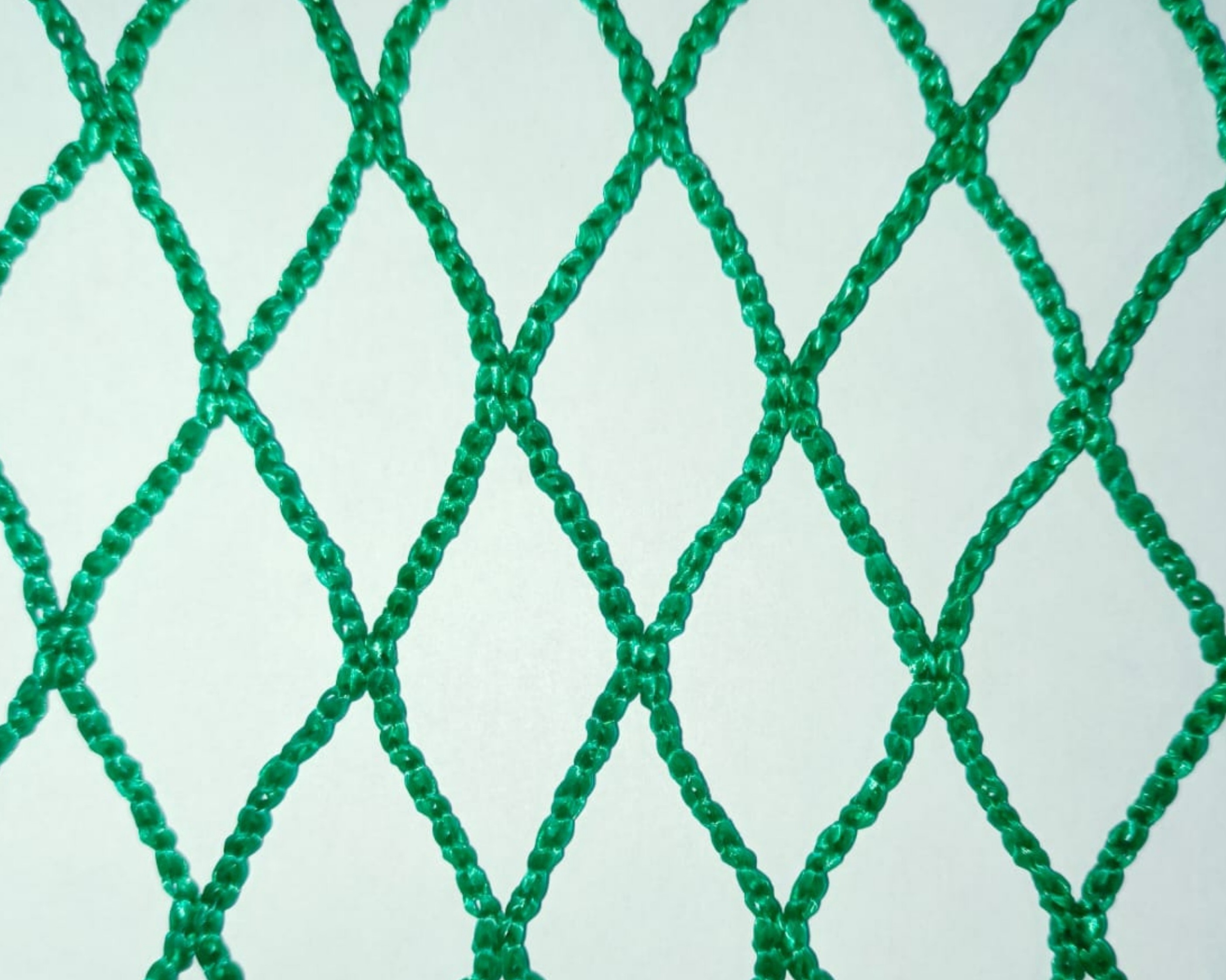 Safety Net Preview