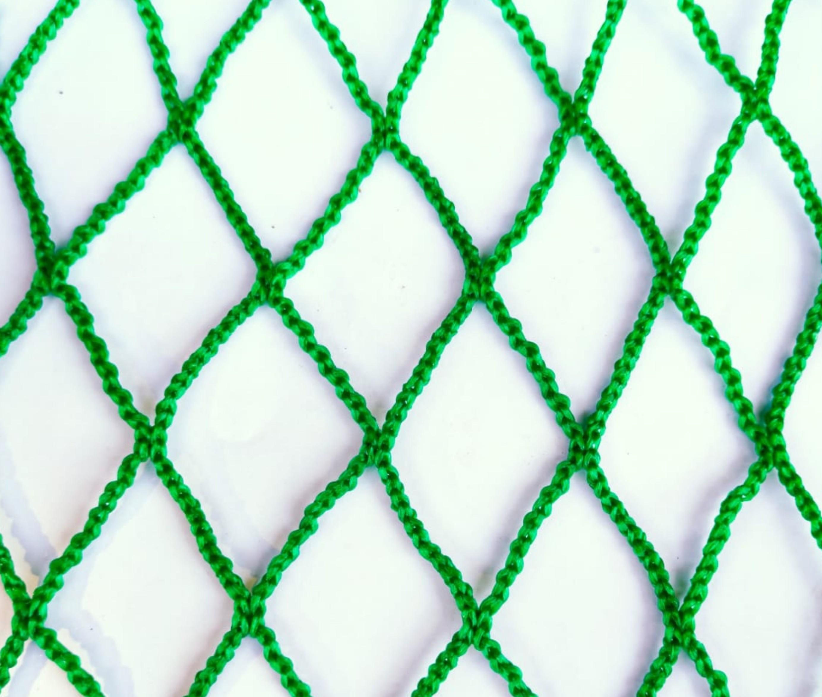 Safety Net Preview