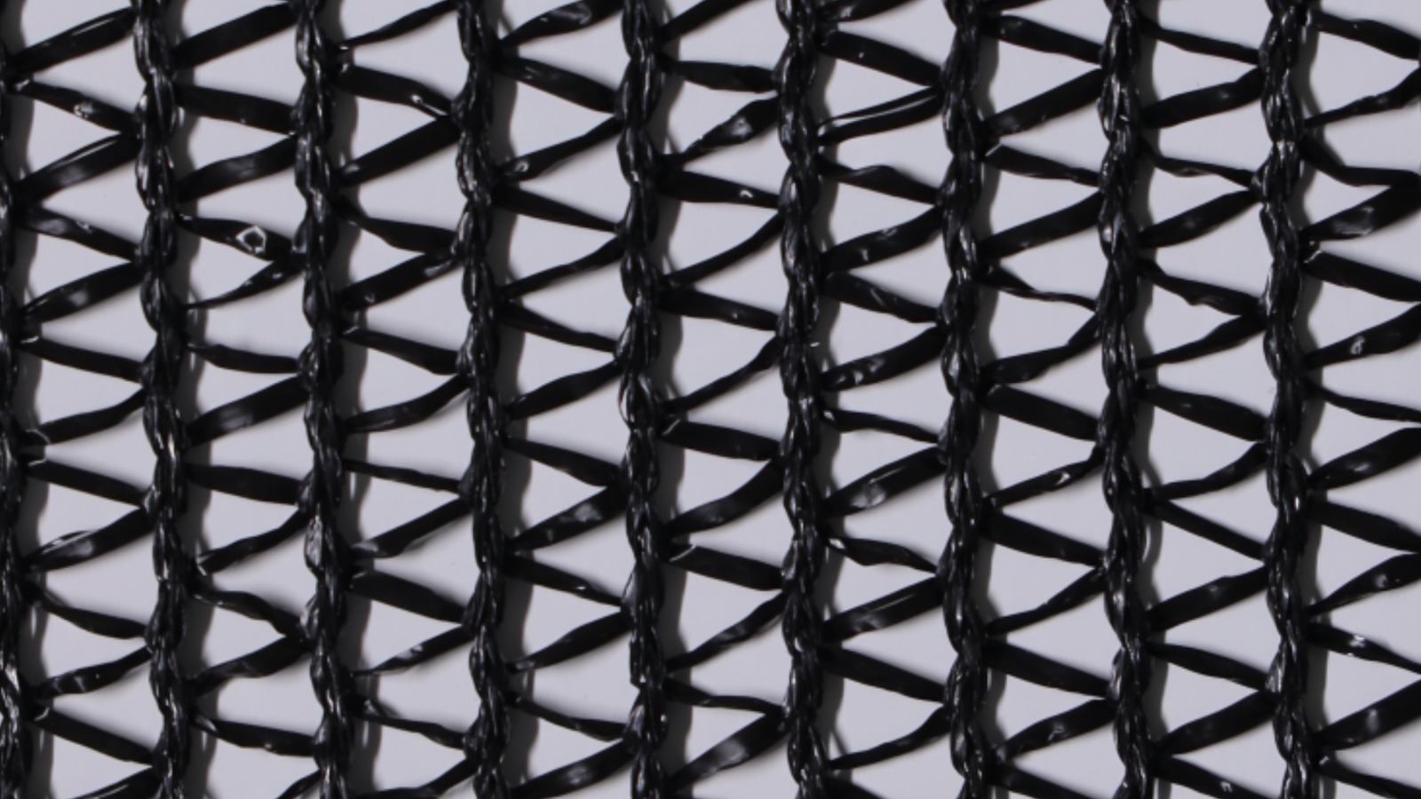 Water Harvesting Net